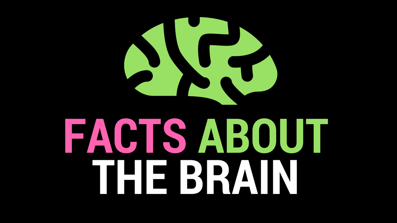 8-crazy-facts-about-the-brain-learning-human-psychology