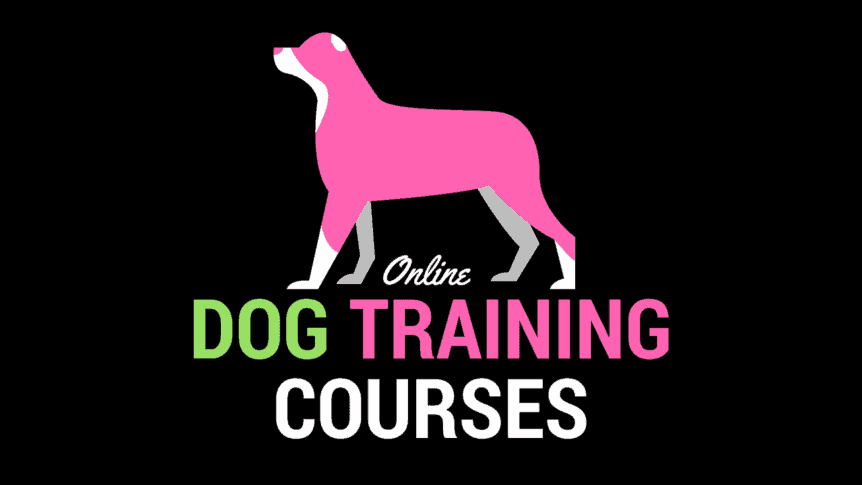 Best Online Dog Training Courses 