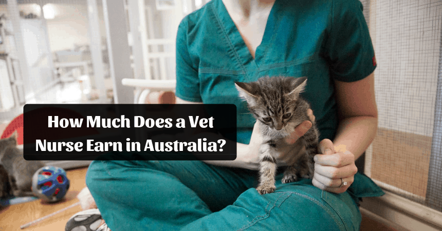 How Much Does A Vet Earn In Australia A Year