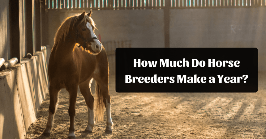 how-much-do-horse-breeders-make-a-year-get-course